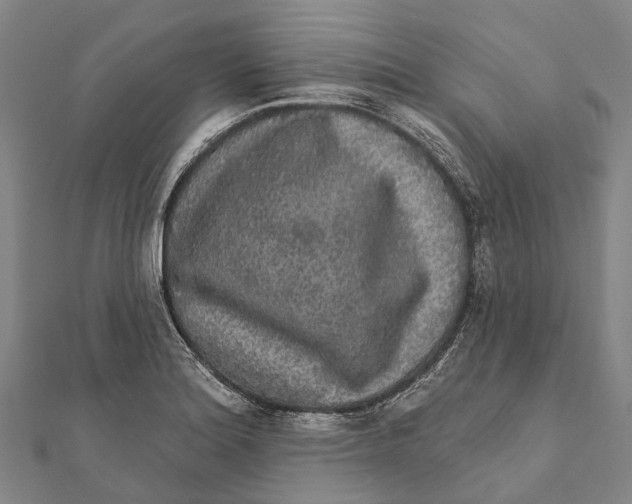 X0000111581180200908131312