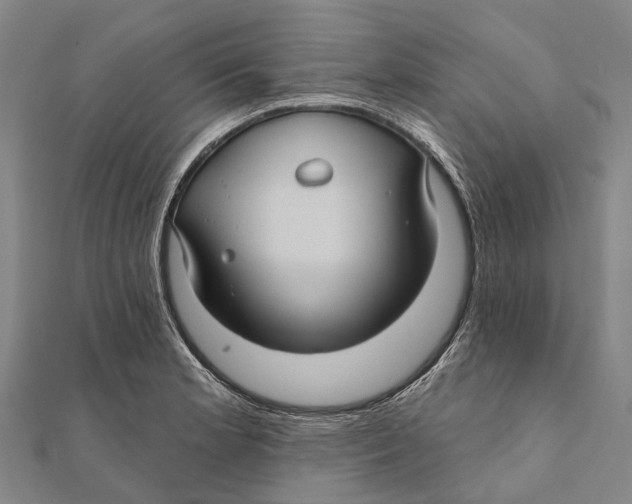 X0000111581181200908131312