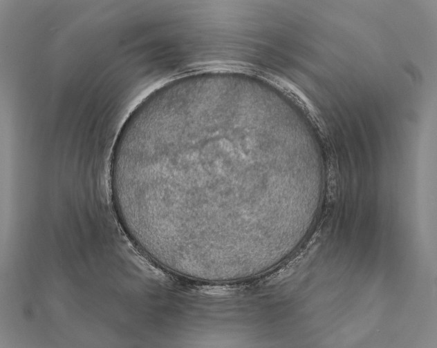 X0000111581182200908131312