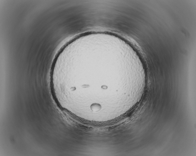 X0000111581183200908131312