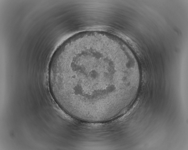 X0000111581184200908131312