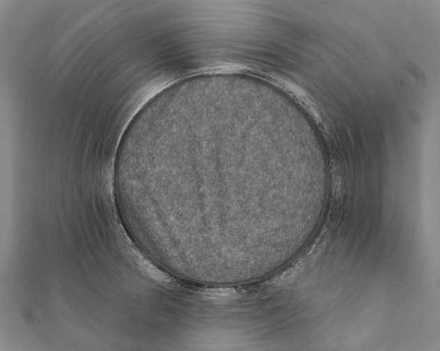 X0000111581186200908131312