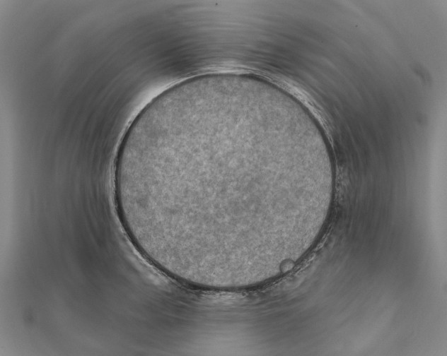 X0000111581187200908131312