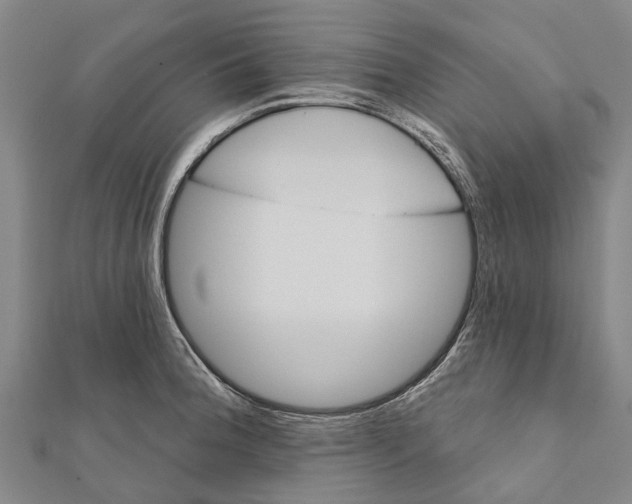 X0000111581188200908131312