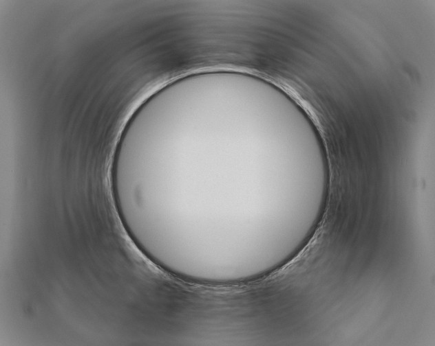 X0000111581189200908131312