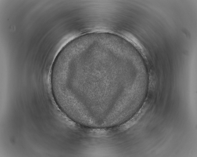 X0000111581190200908131312