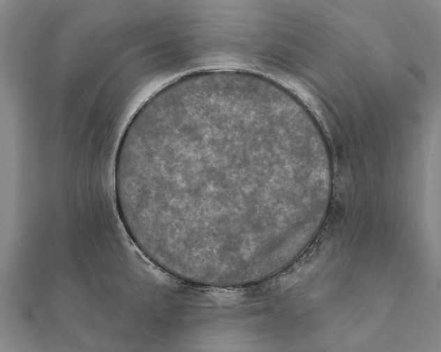 X0000111581191200908131312