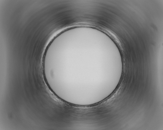 X0000111581192200908131312