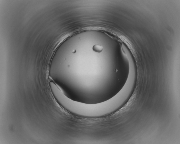 X0000111581193200908131312