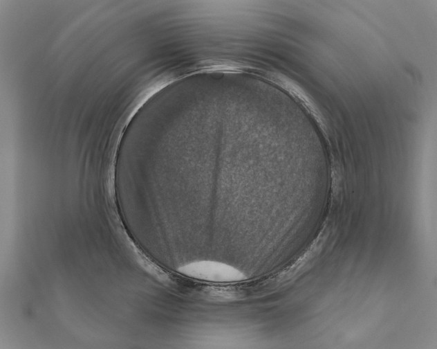 X0000111581194200908131312