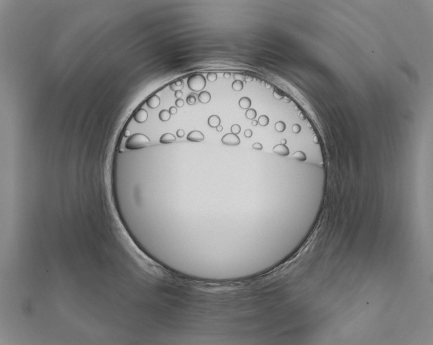 X0000111581195200908131312