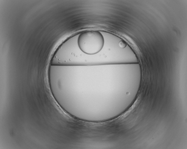 X0000111581196200908131312