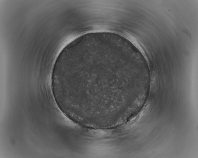 X0000111581197200908131312