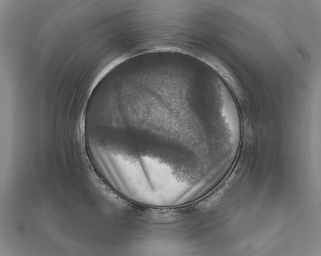 X0000111581198200908131312