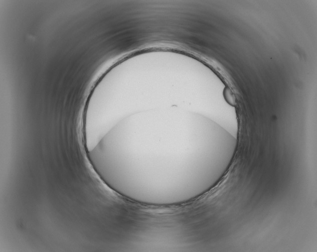 X0000111581199200908131312