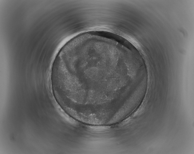 X0000111581200200908131312