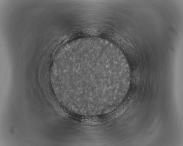 X0000111581201200908131311