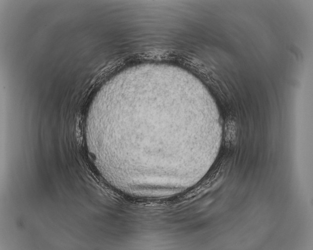 X0000111581202200908131311