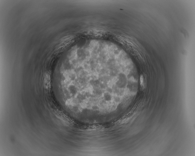 X0000111581203200908131311