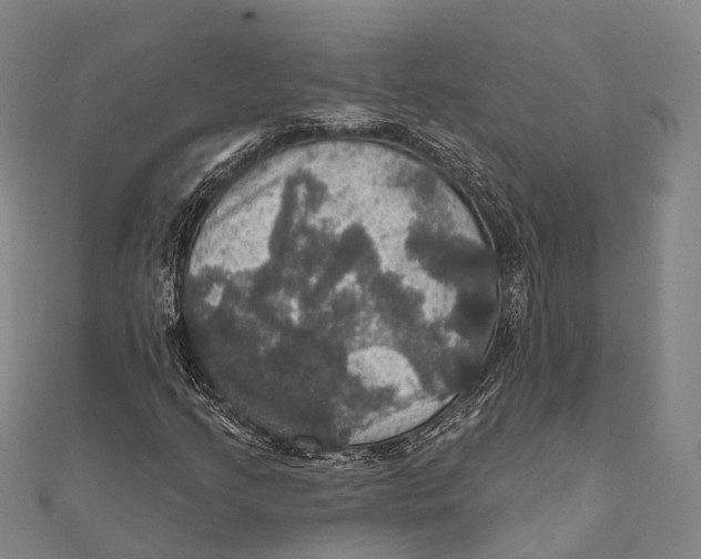 X0000111581205200908131311