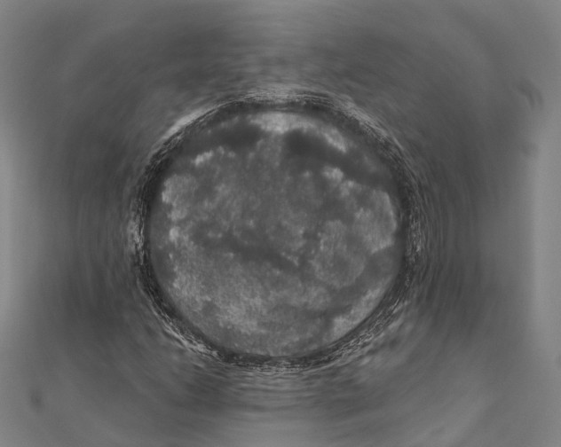 X0000111581206200908131311