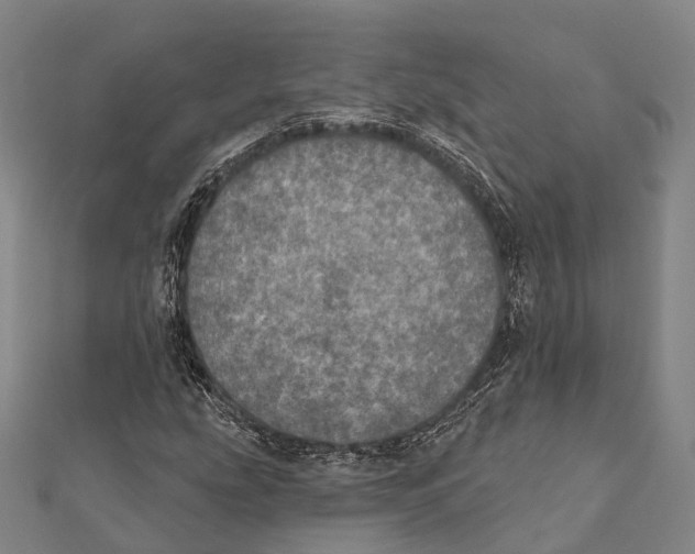 X0000111581207200908131311