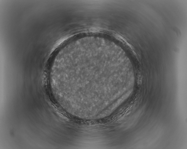 X0000111581208200908131311