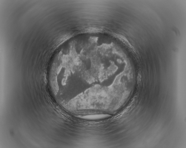 X0000111581209200908131311