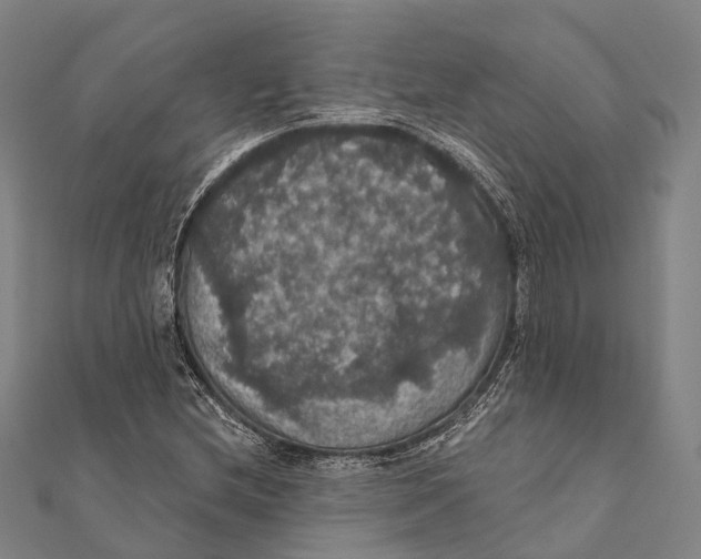 X0000111581212200908131311