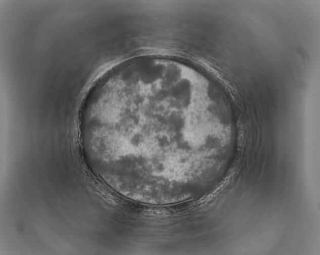 X0000111581215200908131311