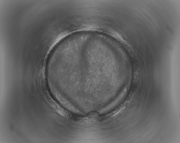 X0000111581216200908131311