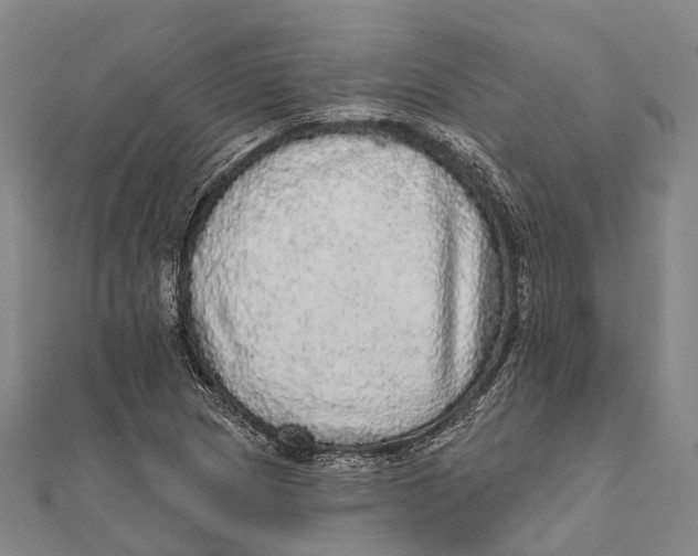 X0000111581217200908131311