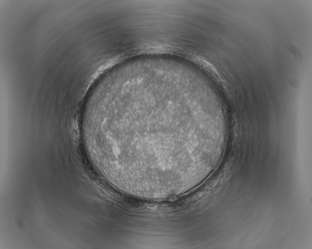 X0000111581218200908131311