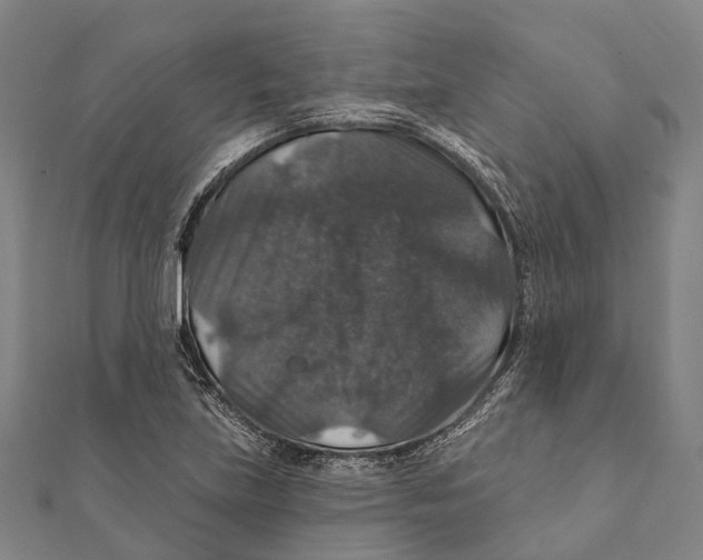 X0000111581219200908131311