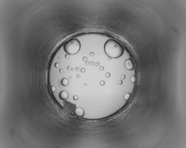 X0000111581220200908131311