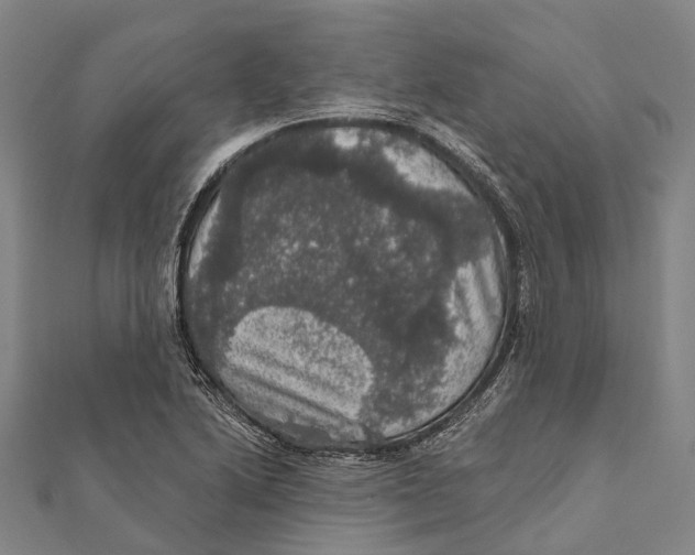 X0000111581222200908131311