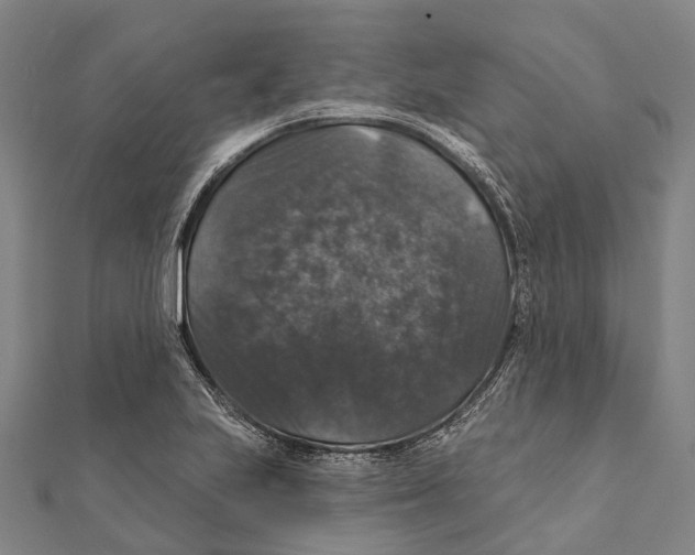 X0000111581223200908131312