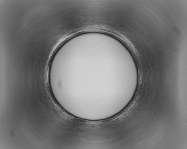 X0000111581224200908131312