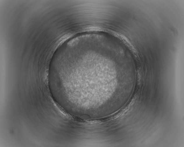 X0000111581225200908131312