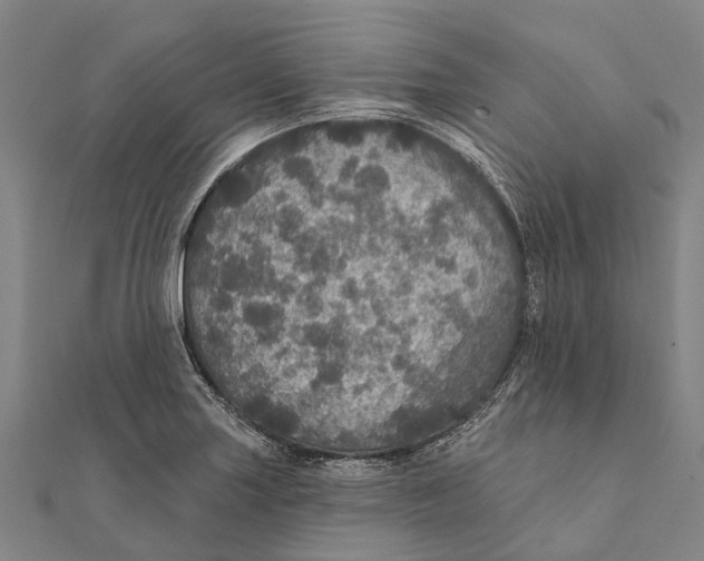 X0000111581227200908131312