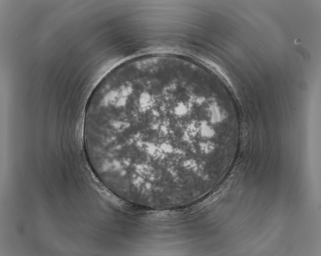 X0000111581228200908131312