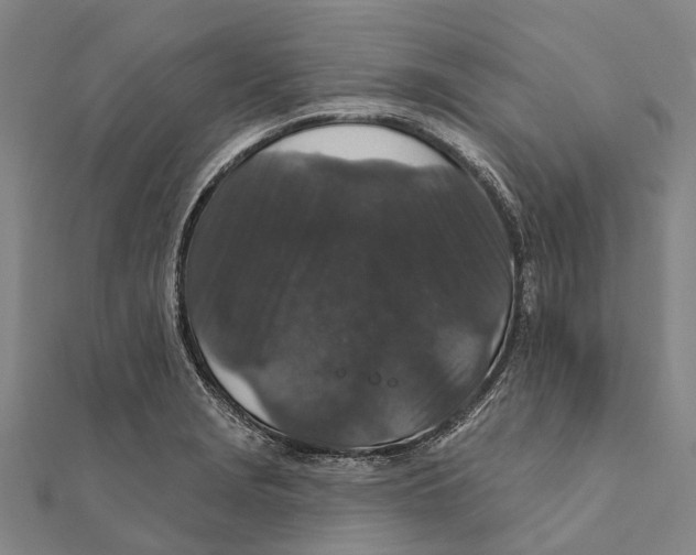 X0000111581229200908131312