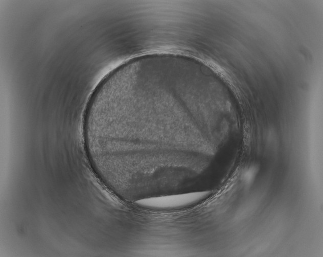 X0000111581230200908131312