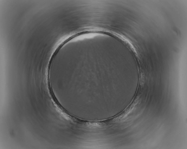 X0000111581231200908131312