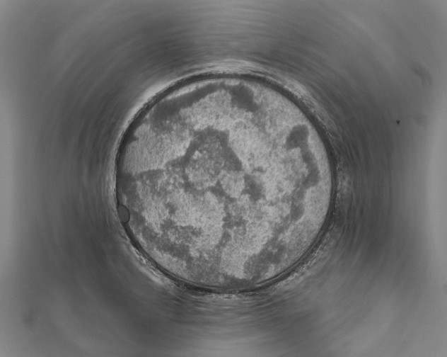 X0000111581232200908131312