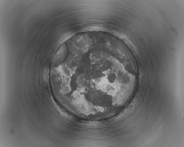 X0000111581233200908131312