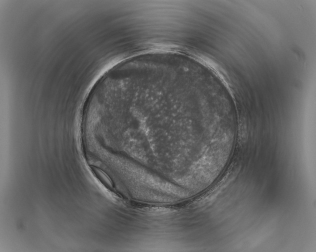 X0000111581235200908131312