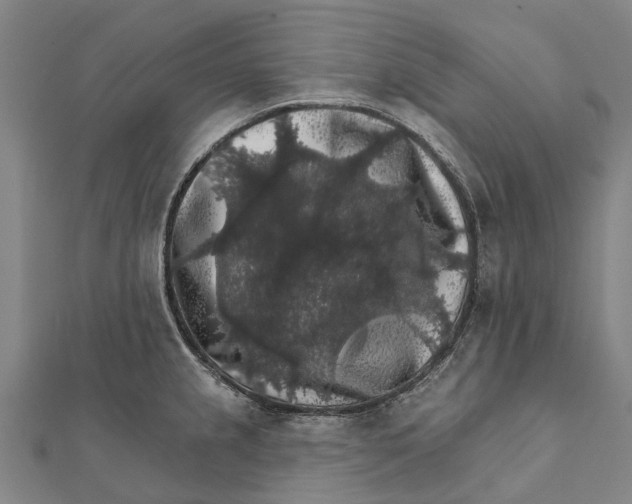 X0000111581237200908131312