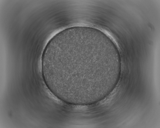 X0000111581238200908131312