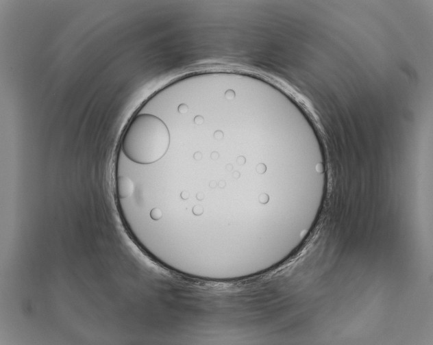 X0000111581239200908131312